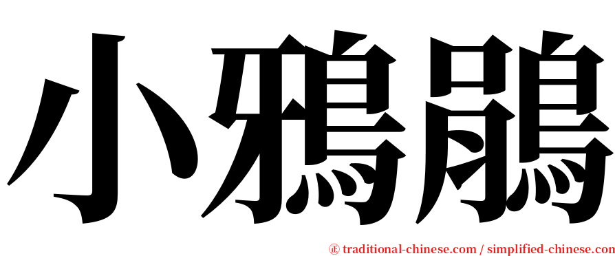 小鴉鵑 serif font