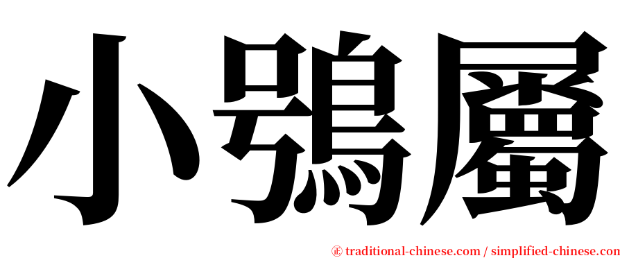 小鴞屬 serif font