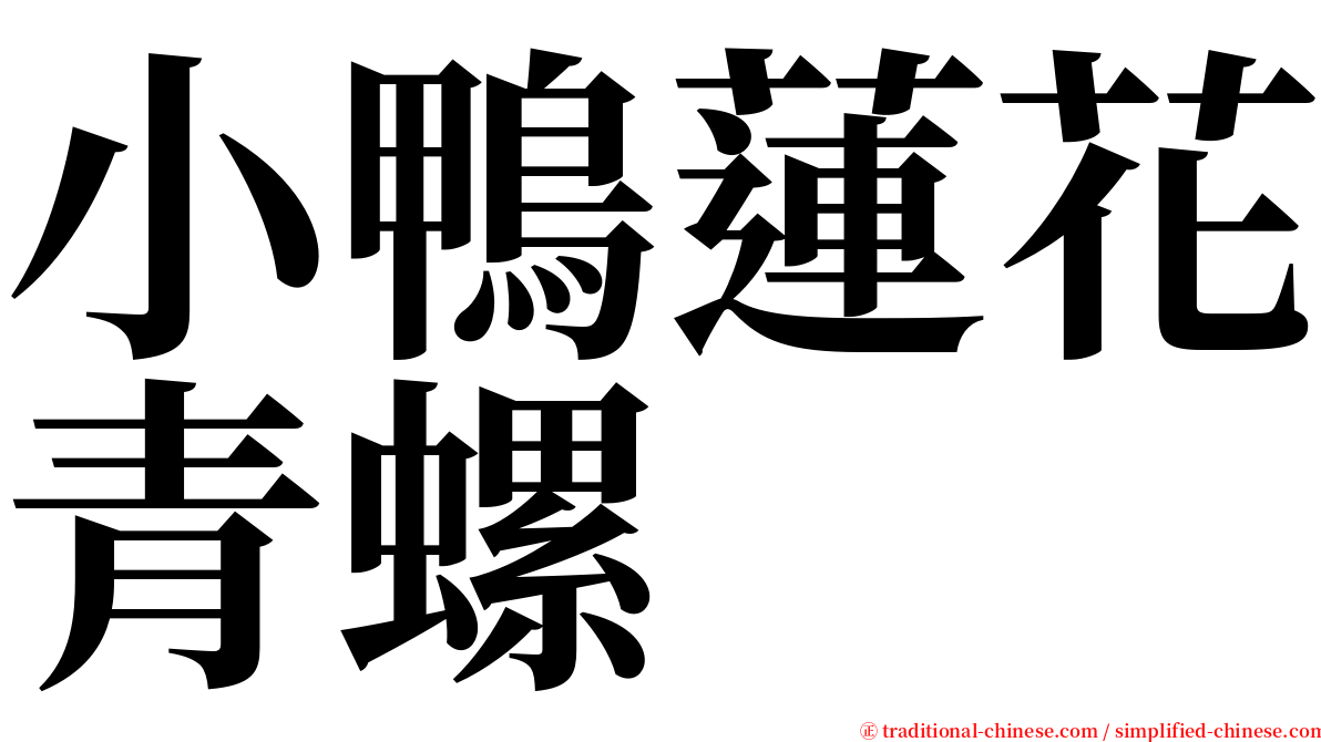 小鴨蓮花青螺 serif font