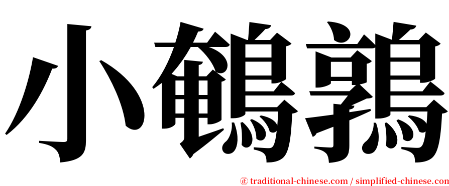 小鵪鶉 serif font