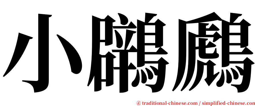 小鸊鷉 serif font