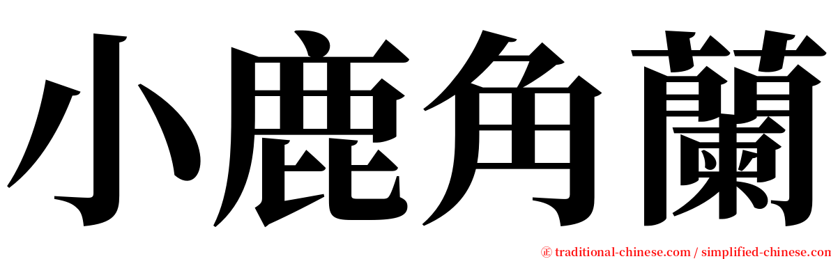 小鹿角蘭 serif font