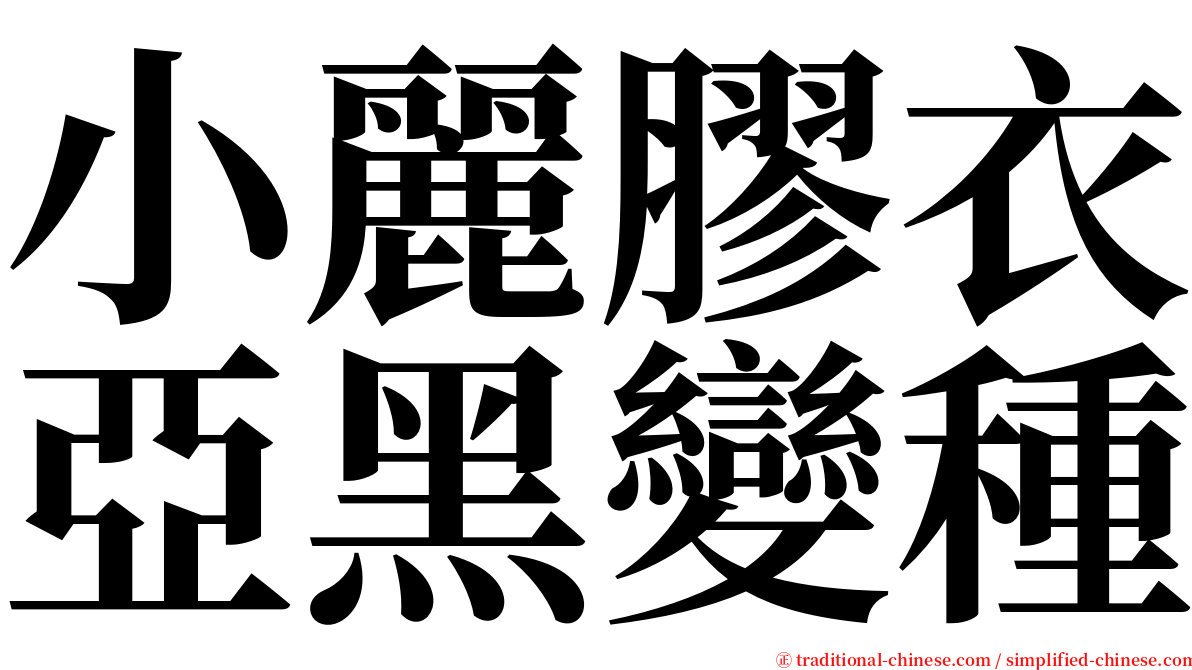 小麗膠衣亞黑變種 serif font