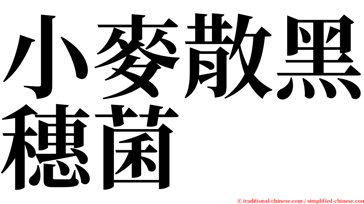 小麥散黑穗菌 serif font