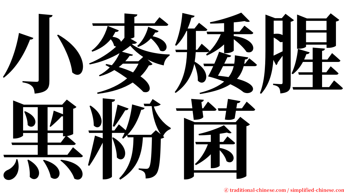 小麥矮腥黑粉菌 serif font