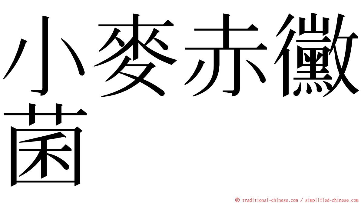 小麥赤黴菌 ming font