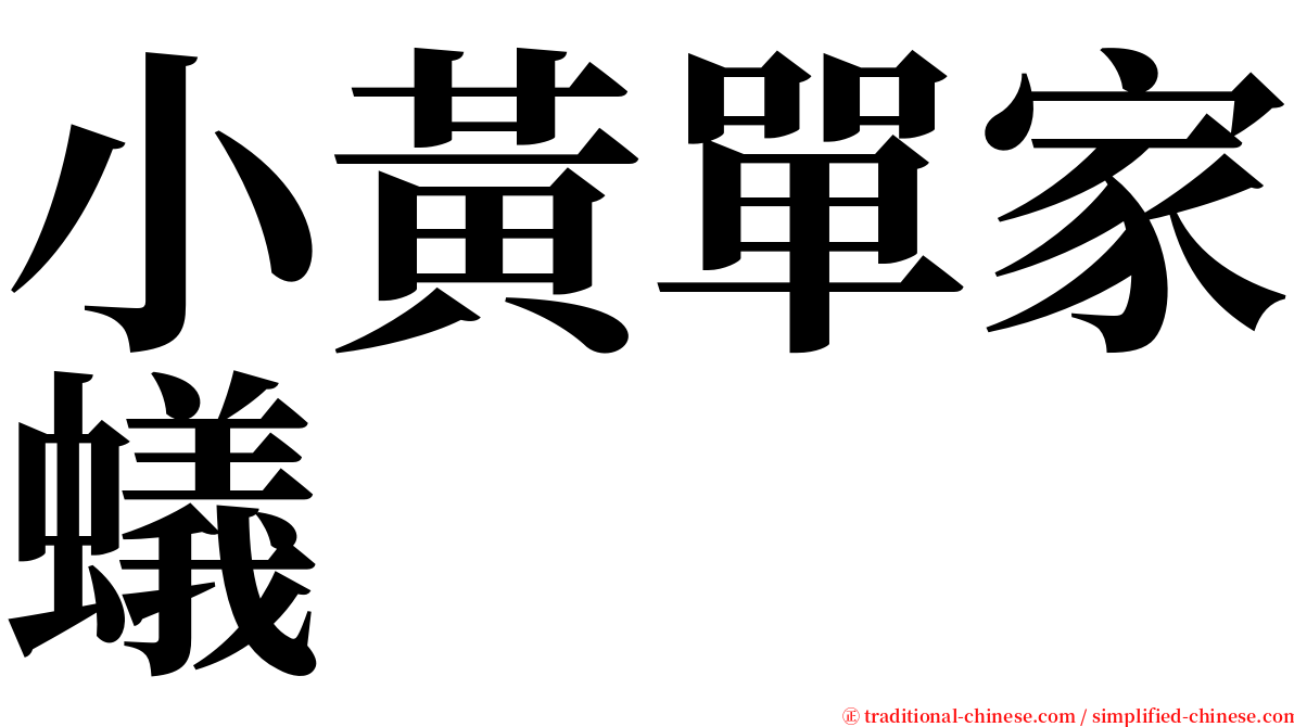 小黃單家蟻 serif font