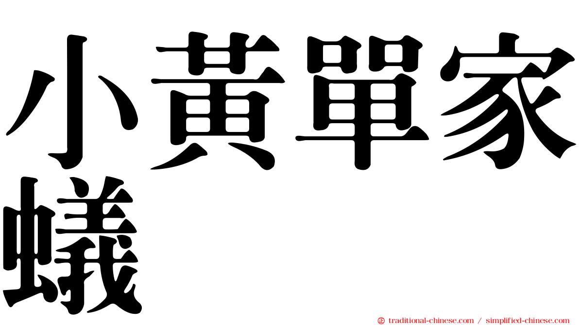 小黃單家蟻