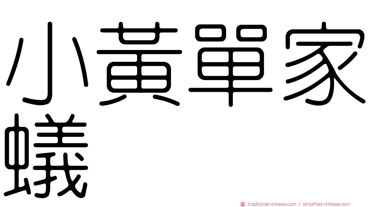 小黃單家蟻