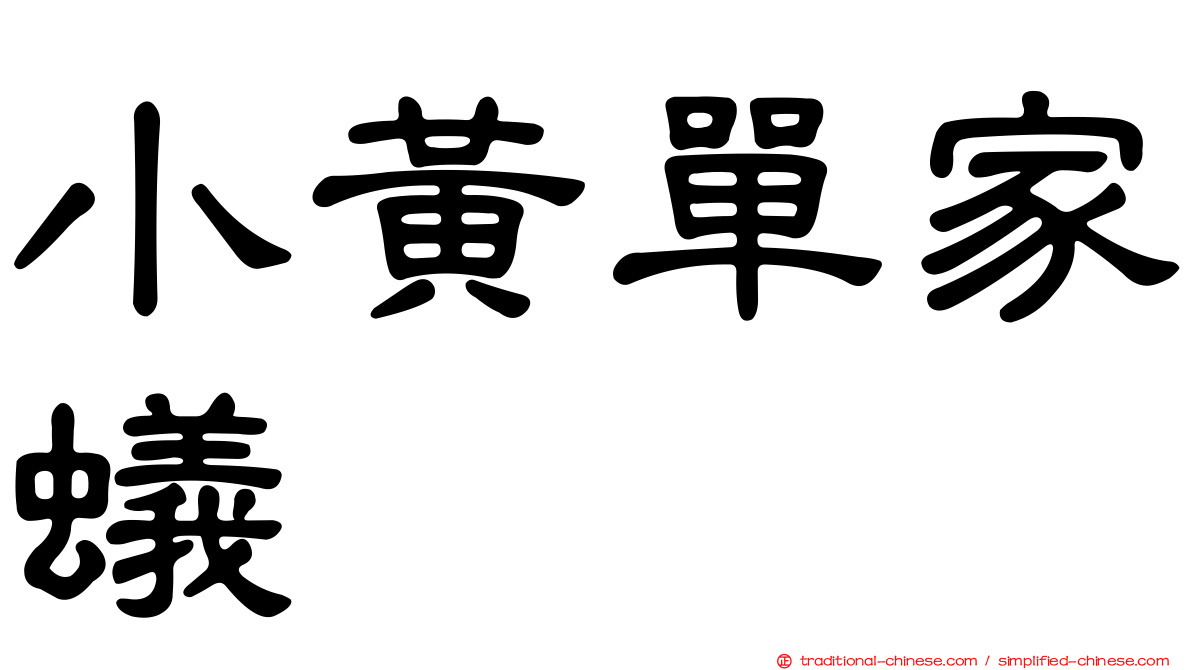 小黃單家蟻