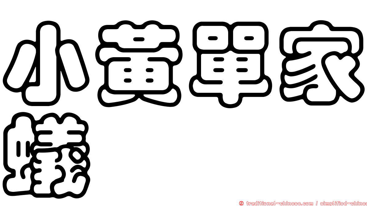 小黃單家蟻