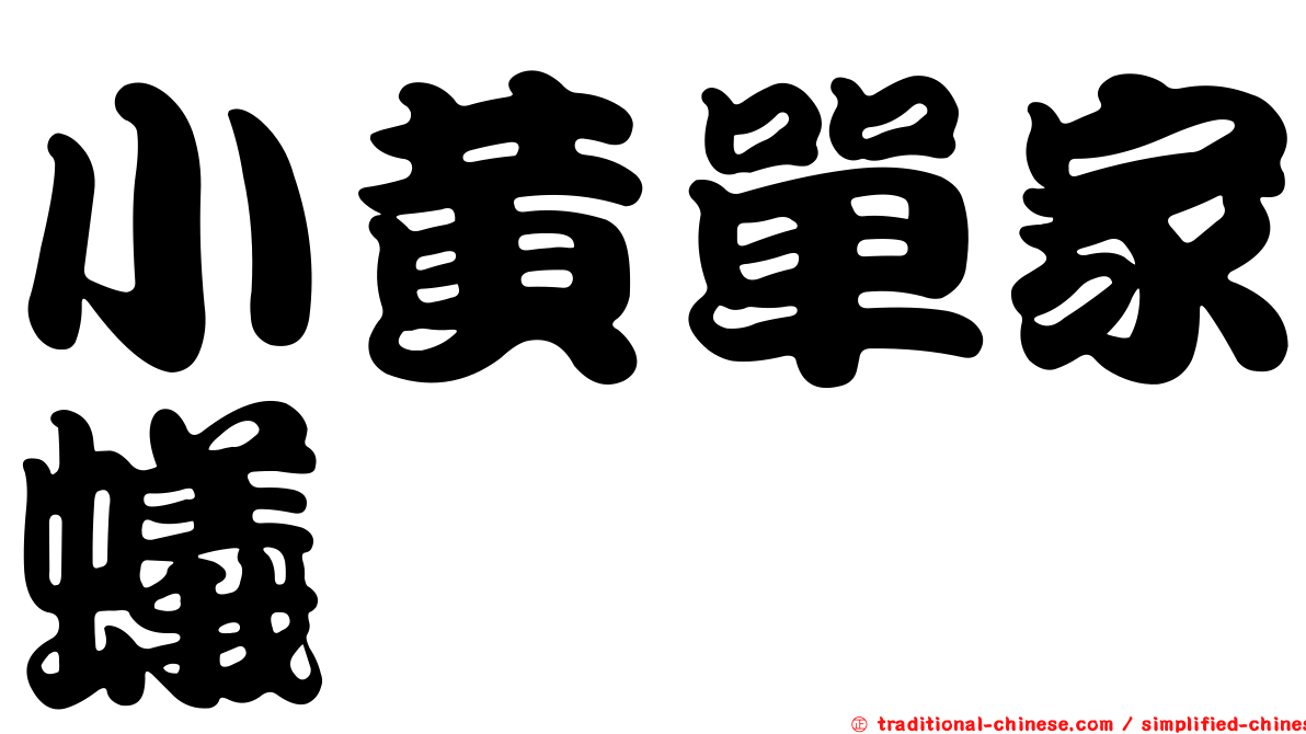 小黃單家蟻