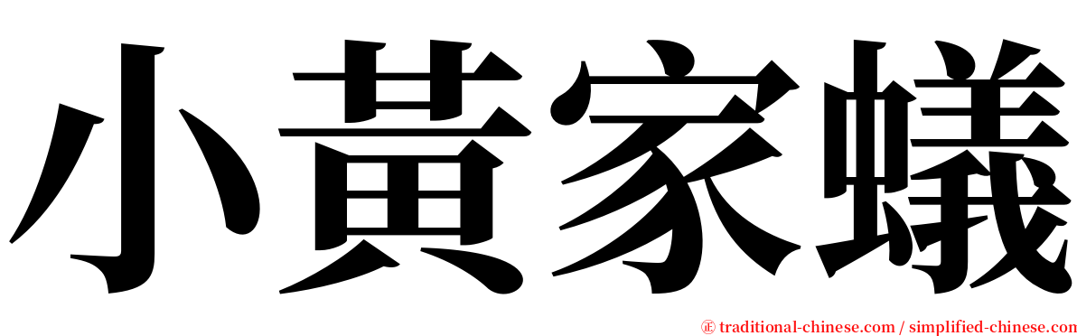 小黃家蟻 serif font