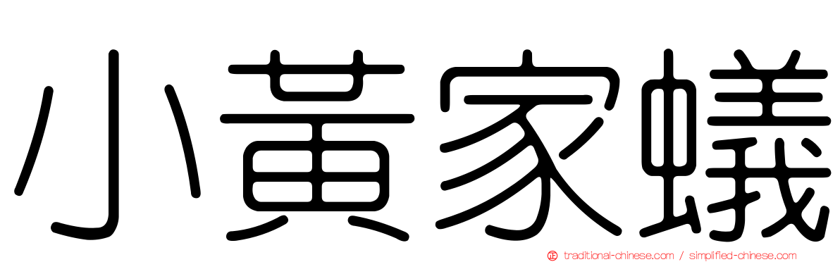 小黃家蟻