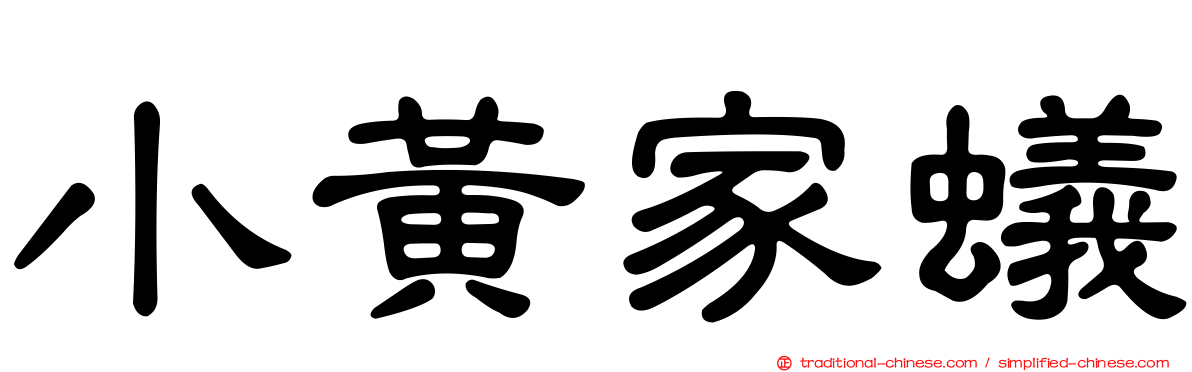 小黃家蟻