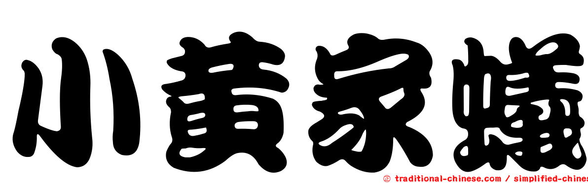 小黃家蟻