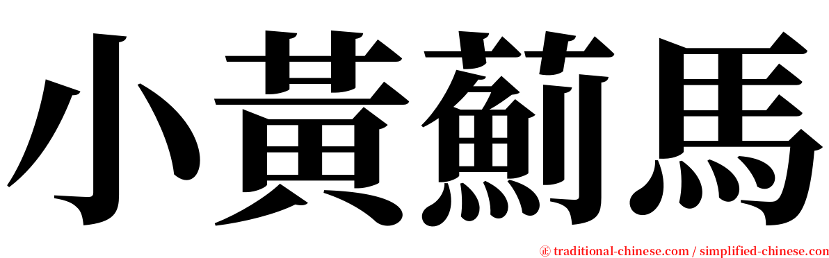 小黃薊馬 serif font