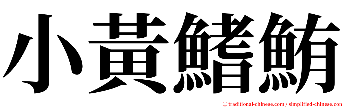 小黃鰭鮪 serif font