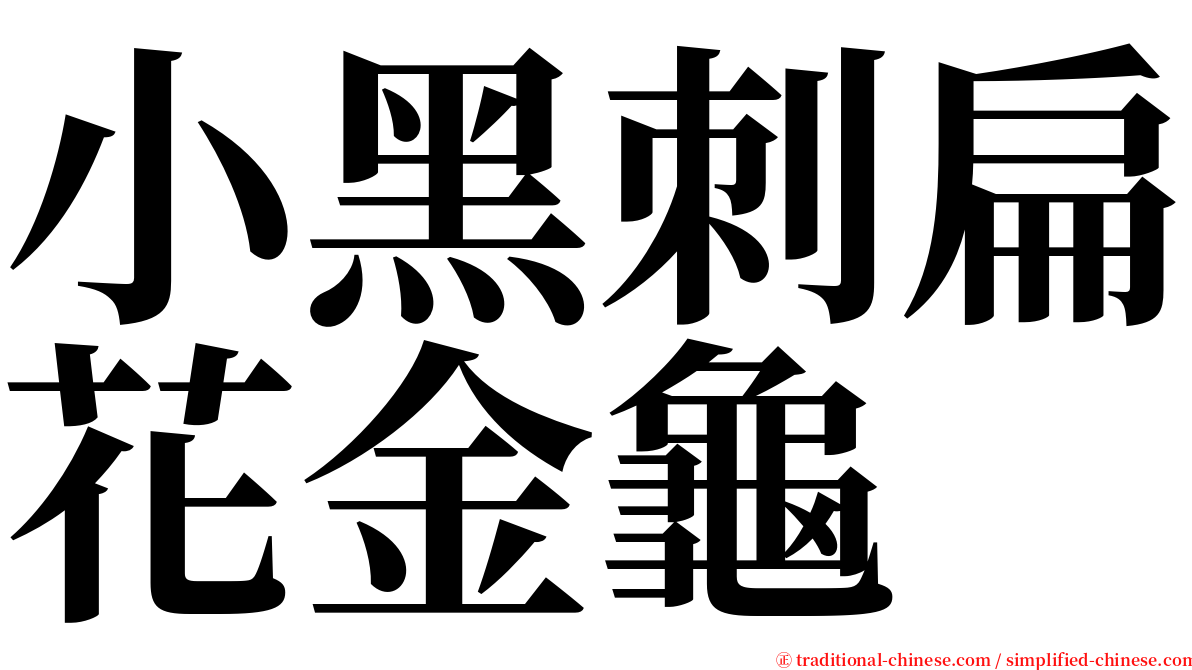 小黑刺扁花金龜 serif font