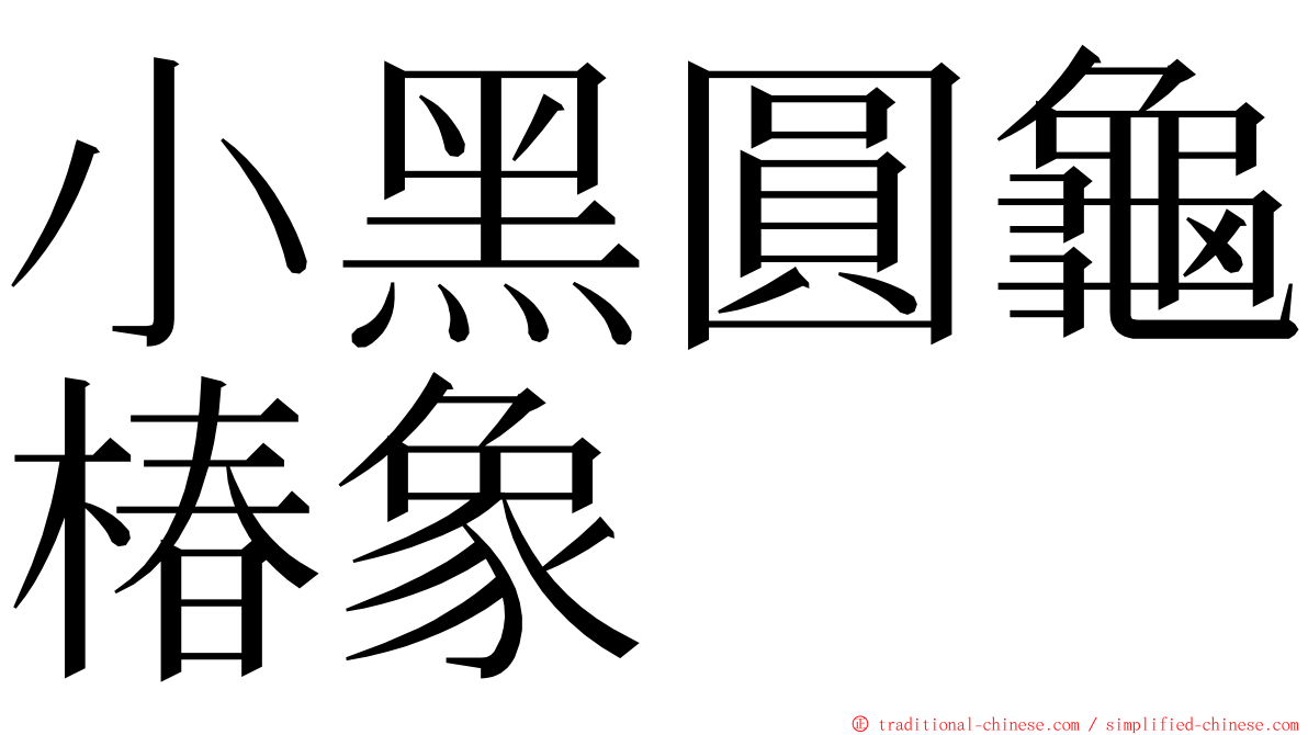 小黑圓龜椿象 ming font