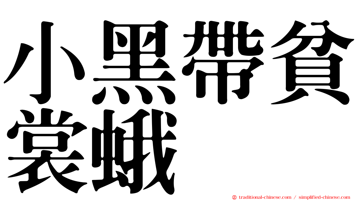 小黑帶貧裳蛾