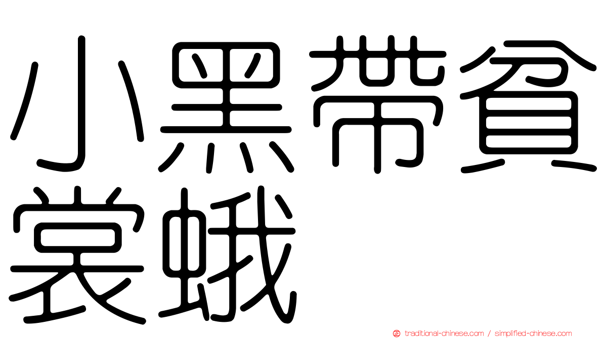 小黑帶貧裳蛾