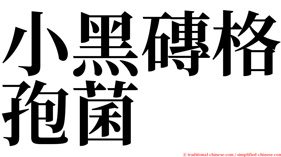 小黑磚格孢菌 serif font