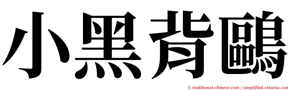 小黑背鷗 serif font