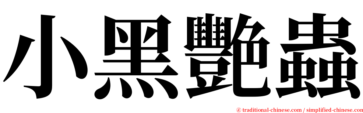 小黑艷蟲 serif font