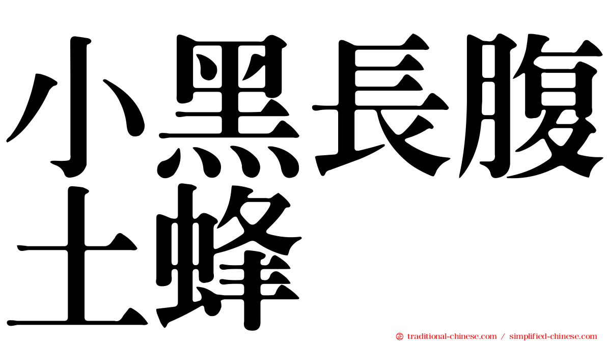 小黑長腹土蜂