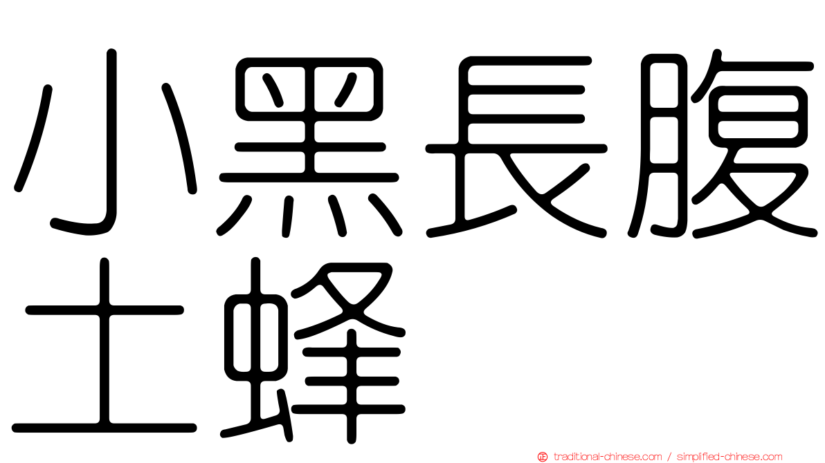小黑長腹土蜂
