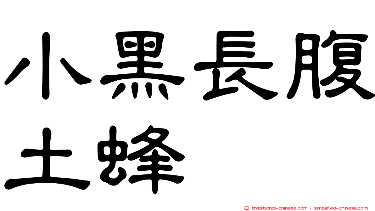 小黑長腹土蜂
