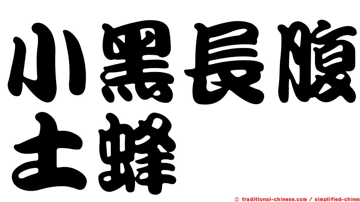 小黑長腹土蜂