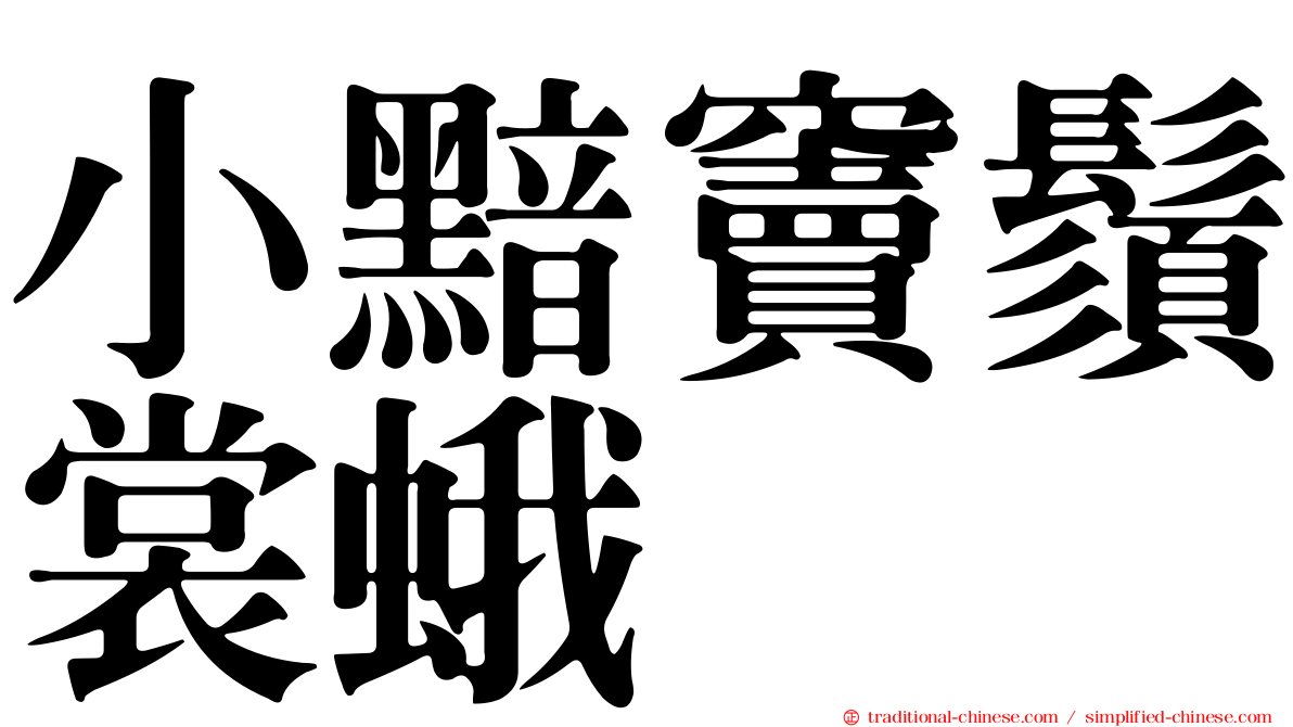 小黯竇鬚裳蛾