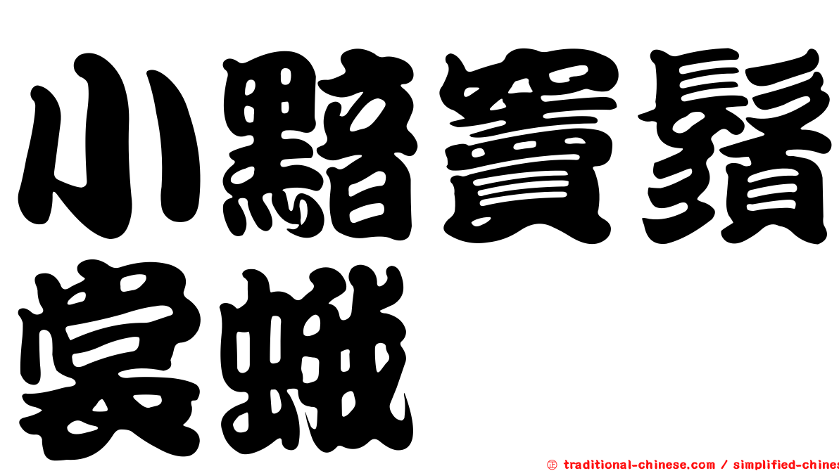 小黯竇鬚裳蛾