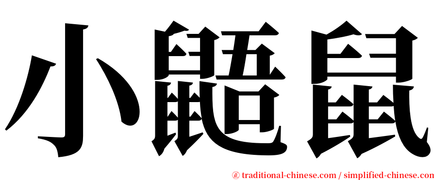 小鼯鼠 serif font