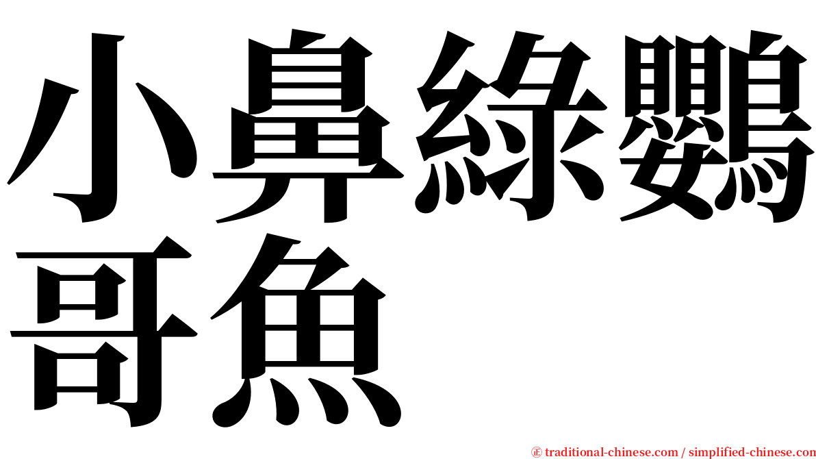 小鼻綠鸚哥魚 serif font