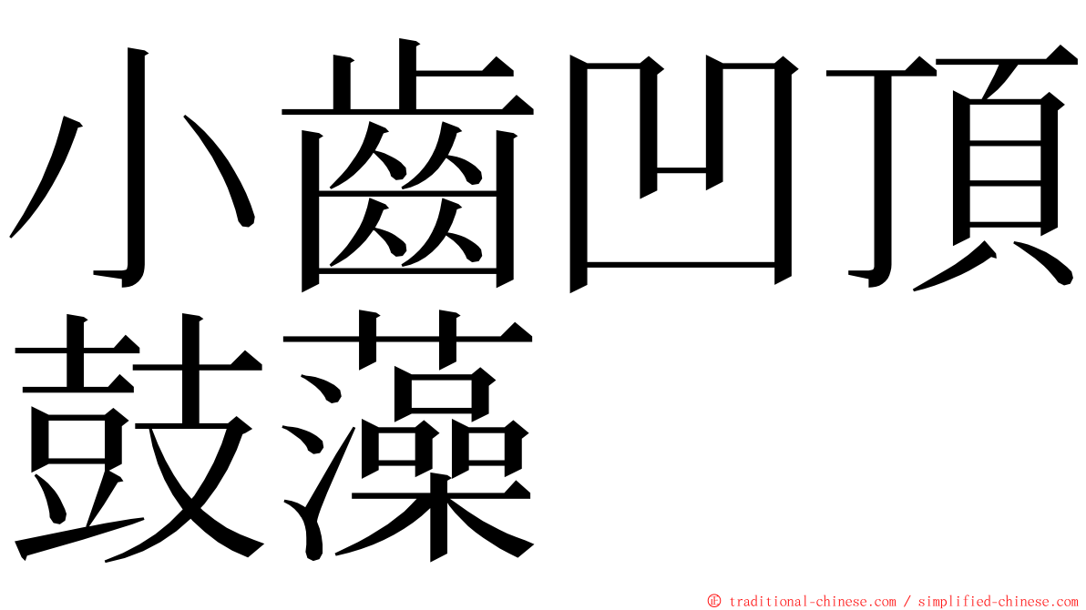 小齒凹頂鼓藻 ming font