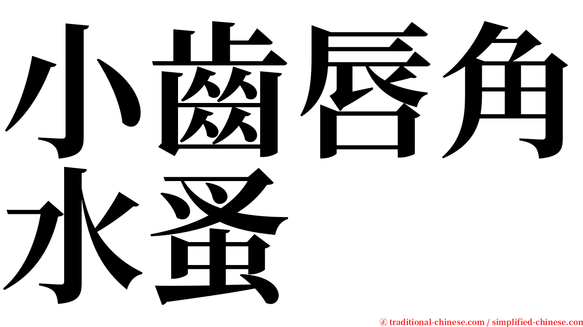 小齒唇角水蚤 serif font