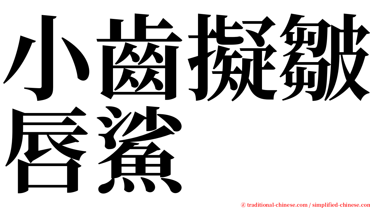 小齒擬皺唇鯊 serif font