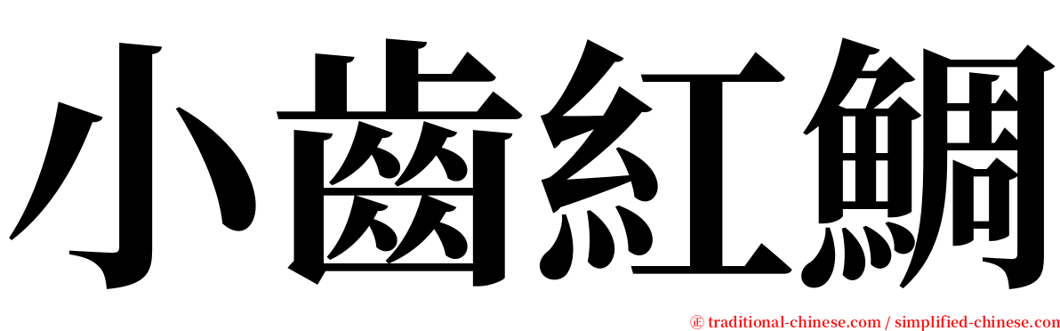 小齒紅鯛 serif font