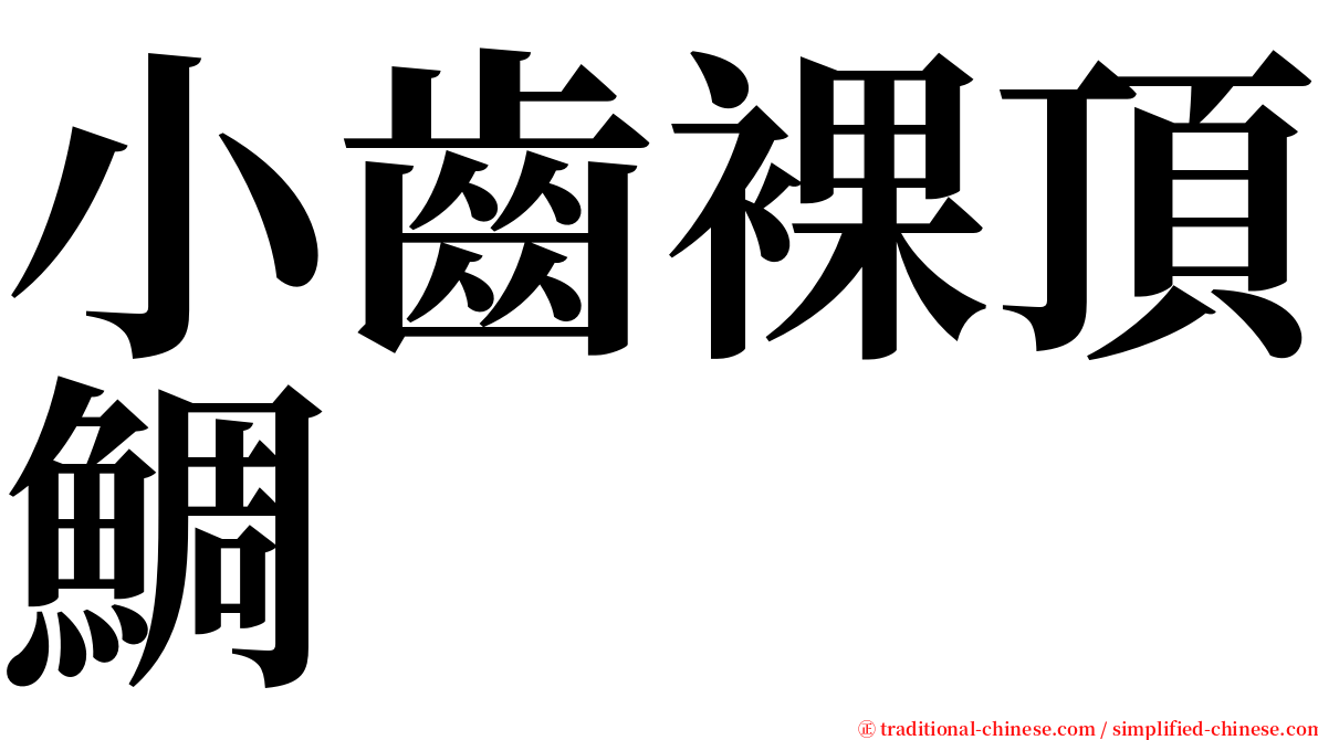 小齒裸頂鯛 serif font