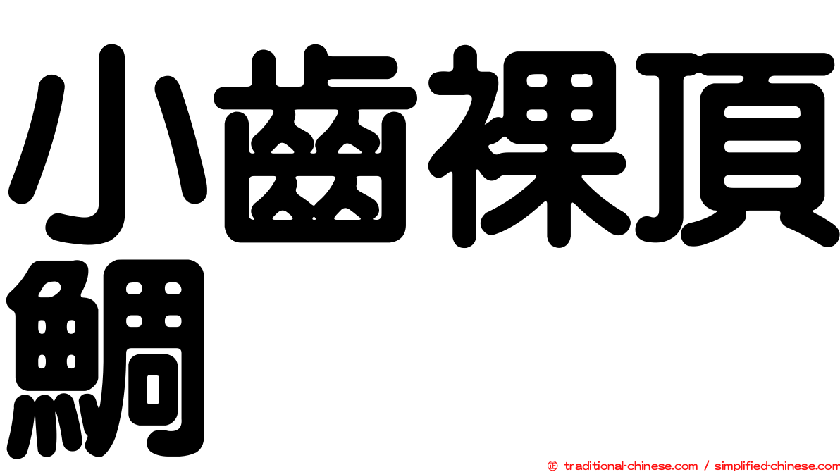 小齒裸頂鯛
