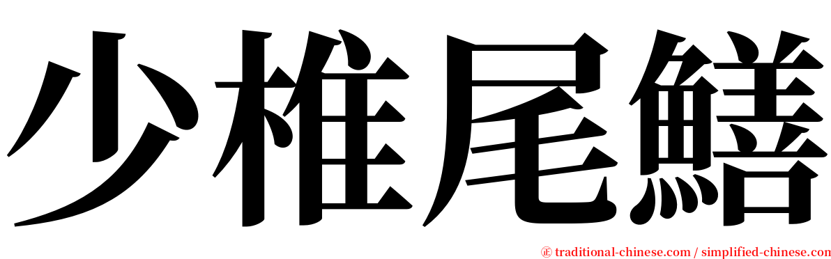 少椎尾鱔 serif font