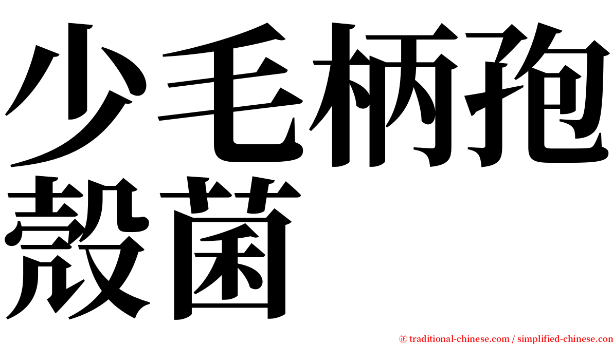 少毛柄孢殼菌 serif font