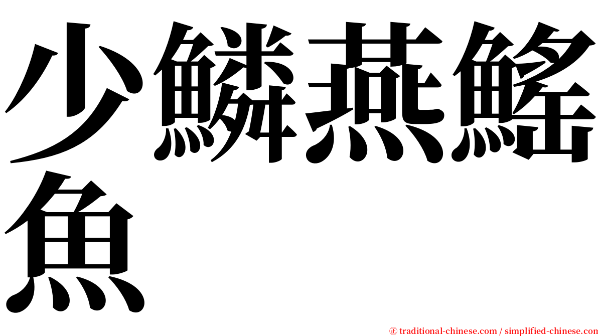 少鱗燕鰩魚 serif font