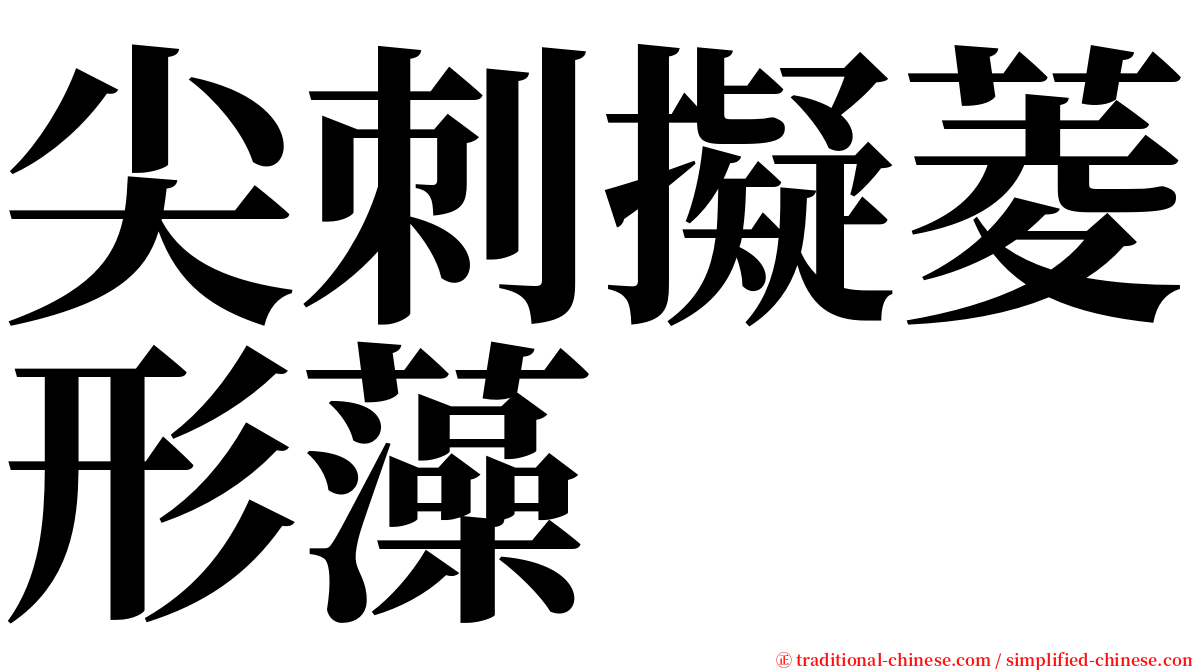 尖刺擬菱形藻 serif font