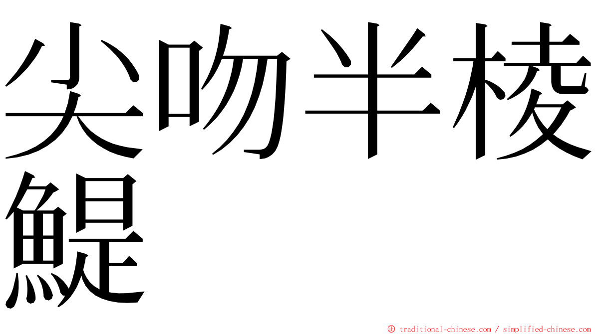 尖吻半棱鯷 ming font