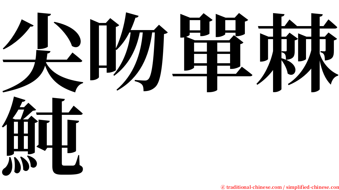 尖吻單棘魨 serif font