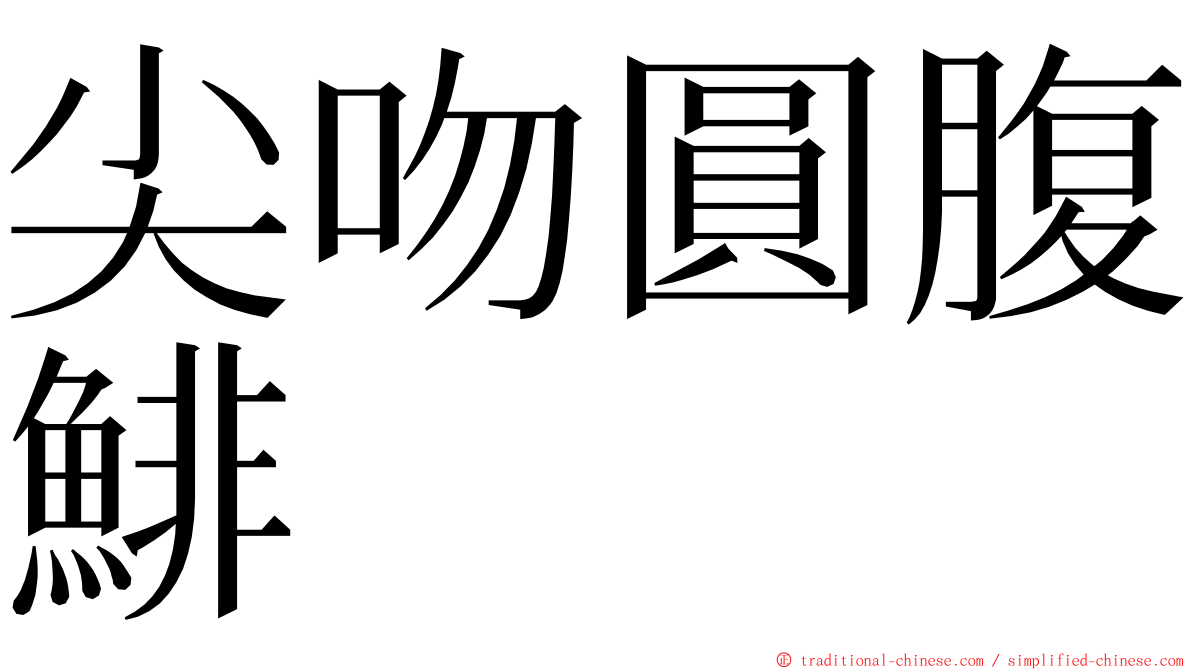 尖吻圓腹鯡 ming font